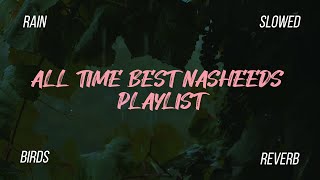 5 Nasheed which is everyones all time favorite  Nasheeds Playlist  Hashnooor [upl. by Northway]