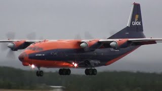 Cavok Air Antonov An12  Landing [upl. by Anotyal]