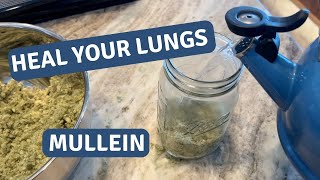 Boost Your Lung Health Naturally A StepbyStep Guide to Making Mullein Tea [upl. by Afital699]