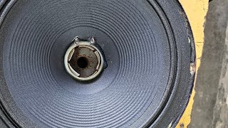 Elgin 12 inch speaker repairing 100 wat ke l Pooja electronics byavar ytshorts [upl. by Speroni]