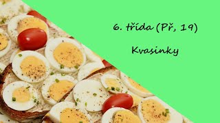 6 třída Př 19  Kvasinky [upl. by Ikcir]