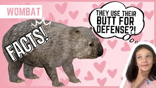 WOMBAT  Animal Fun Facts  For Kids [upl. by Ettenaej]