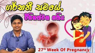 Pregnancy 27th Week  Sinhala Medical Review  අම්මයි බබයි [upl. by Ulphi]