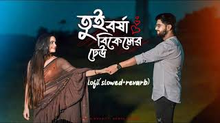 Tui borsha bikeler dhau তুই বর্ষা বিকালের ঢেউ  Bengoli super hit lofi song lofi slowrevarb [upl. by Kissie768]