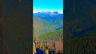 Searching October Pacific Northwest lifeColville National Forest [upl. by Llenaj]