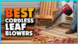 Top 5 Best Cordless Leaf Blowers  Extreme Reviewer [upl. by Aicenert930]