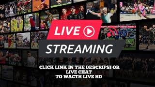 Offenbach vs FC Gießen Live Stream  Soccer 2024 [upl. by Jeffery]