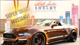 Danny Unveils A Counts Kustoms Collab With Shelby American [upl. by Oinotnanauj]