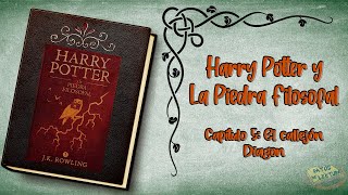 Harry Potter y la Piedra Filosofal  Capítulo 5  Audiolibro  Español Latino [upl. by Krakow]