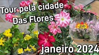 Cidade das Flores janeiro 2024 [upl. by Bravar566]