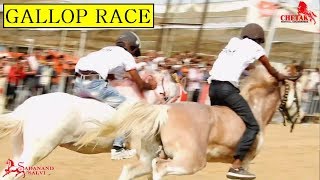 GALLOP HORSE RACE  SARANGKHEDA 2018  Indian Horses [upl. by Chally]