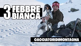 Febbre Bianca  Caccia alla Pernice Bianca con il Setter Inglese [upl. by Nedyrb376]