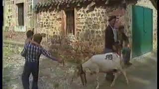 Los pastores trashumantes de las 7 Villas RTVE 1984 [upl. by Adlesirk]