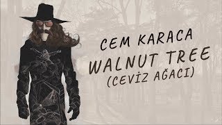 Cem Karaca  Walnut Tree  Ceviz Ağacı Lyrics with English Subtitles [upl. by Cadmann]