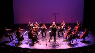 Dvorak String Serenade IV  OCNE  Nicolas Krauze [upl. by Hairym]