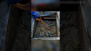 The Drain Unbockers 146 plumbing deepcleaning drain [upl. by Mathian857]