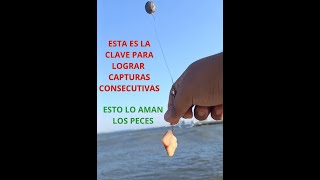 🎣¡PESCA como PRO 3 PESCADOS CONSECUTIVOS con ESTOS TRUCOS✨ [upl. by Otreblanauj]