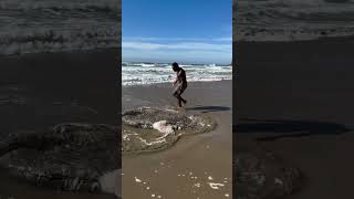 He Saw the Weird Dead Fish in The Sea  InFact Tamil shortsvideo [upl. by Orv942]