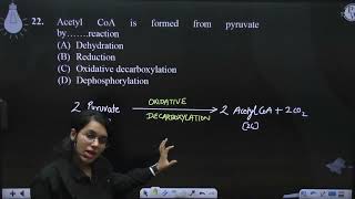 Acetyl CoA is formed from pyruvate by reaction [upl. by Katusha]