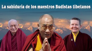 La sabiduría de los maestros Budistas tibetanos [upl. by Hakilam]