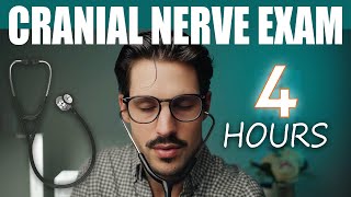 ASMR  The Longest Cranial Nerve Exam on YouTube [upl. by Boorman]