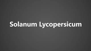 How To Pronounce Solanum Lycopersicum [upl. by Ael]