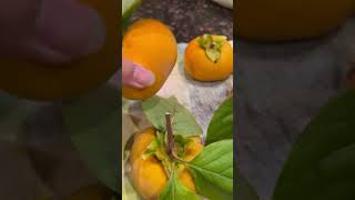 Persimmons fruit genus Diospyros latefall yellow antioxidants fiber vitamina sweet honey [upl. by Akimert]