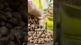 7 Surprising Benefits of Seed Oils You Need to Know shorts seedoils facts [upl. by Vergos483]