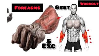 5 BEST EXCERCISES FOR BIGGER FOREARMS [upl. by Anaeed]