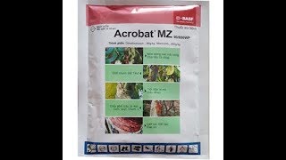 ACROBAT MZ 690WP Phần 1– THUỐC ĐẶC TRỊ BỆNH SƯƠNG MAI CHẾT NHANH THỐI RỄ TRÊN CÂY TRỒNG [upl. by Annawaj]