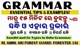 Sandhi and its type odia Grammar  Essential Tips amp Examples  Full Topic on 15 Minutes [upl. by Erdnaet]