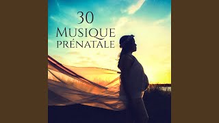 Grossesse méditation musique [upl. by Pratte850]