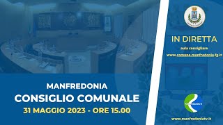 Consiglio Comunale del 31 2023 [upl. by Swann228]