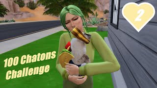 100 Chatons Challenge  02 Nos premières naissances de chatons  Sims 4 [upl. by Soiritos]