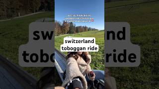 bucket list toboggan ride in switzerland ✅🇨🇭 swizterland toboggan tobogganing [upl. by Anauqaj]