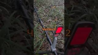 Серія знахідок перстенів… metaldetecting minelabxterrapro metaldetector карпати 2024 ліс [upl. by Anerok856]