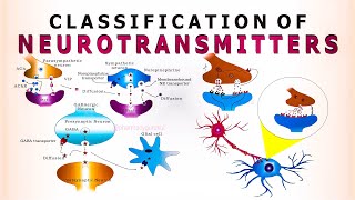 Neurotransmitters  classification of neurotransmitters [upl. by Hultgren5]