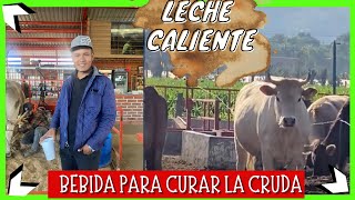 😱 LECHE CALIENTE La Bebida MAS RARA de JALISCO ¿T Atreverías a Probarlo [upl. by Carilyn]