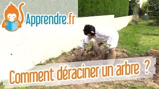 Comment déraciner un arbre [upl. by Raynor]