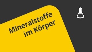 Mineralstoffe im Körper Leistungskurs  Chemie  Allgemeine und anorganische Chemie [upl. by Eeleak]