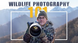 TOP TIPS to get into WILDLIFE PHOTOGRAPHY Learn from a professional [upl. by Salvucci318]