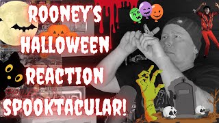 ROONEYS HALLOWEEN REACT SPECTACULAR 🎃 Sugarfoot  El Estepario  Dirty Loops  THRILLER 👻🍬🧟🪦 [upl. by Mcallister156]