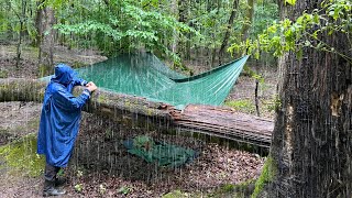 Life in the rainforest  3 nights in the wild  ASMR [upl. by Eniamaj]