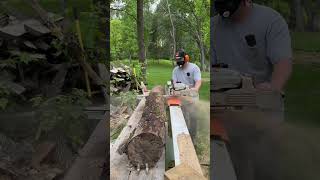 Slicing Up Spalted Maple Slabs with my Stihl MS 661 and Logosol F2 Plus sawmill oddlysatisfying [upl. by Ylicis]