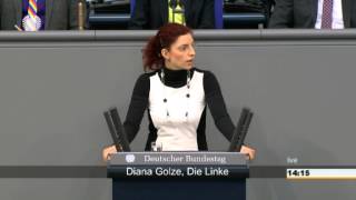 Diana Golze DIE LINKE Familienetat offenbart Leerstellen im Koalitionsvertrag [upl. by Ydnis]