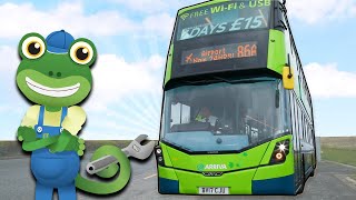 Geckos Real Vehicles  Buses  Vehicles For Kids  Geckos Garage  Learning For Kids [upl. by Katey]