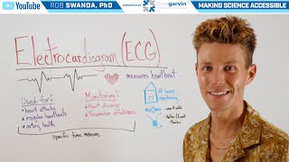 Overview of an Electrocardiogram ECG or EKG [upl. by Sorvats]