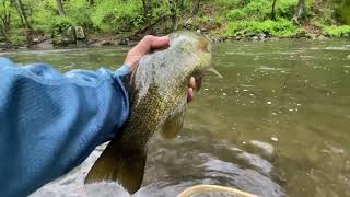 Fishing And Exploring The Musconetcong Gorge NJ [upl. by Annohsak576]