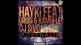 Hayki feat Grogi amp Kamufle  Adrenalin [upl. by Noired102]