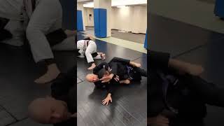 BJJ AND MMA [upl. by Sy]